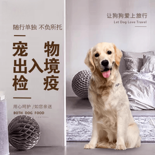 南昌宠物托运到哥伦比亚猫狗宠物入境规定和