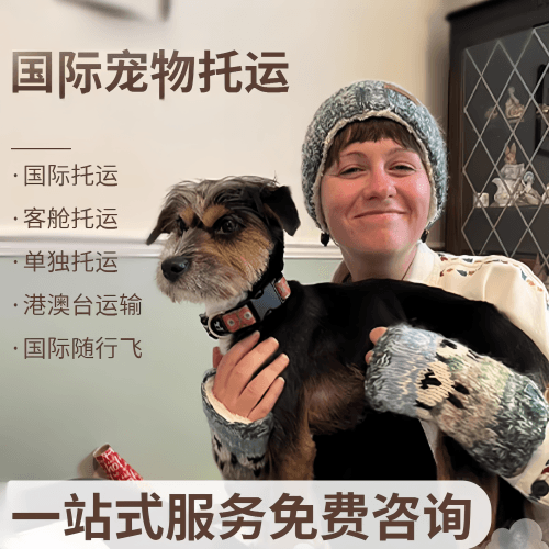 南昌国际宠物托运到阿根廷宠物入境规定和要