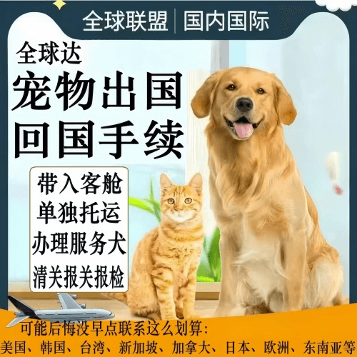 南昌宠物托运到柬埔寨宠物入境规定和要求