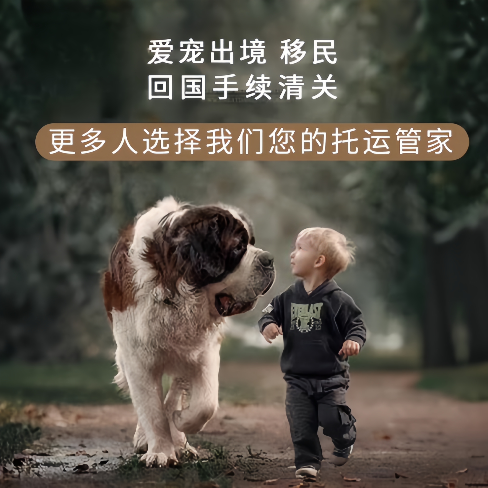 满财南昌宠物全球达宠物托运在遵守入境目的地政策的条件