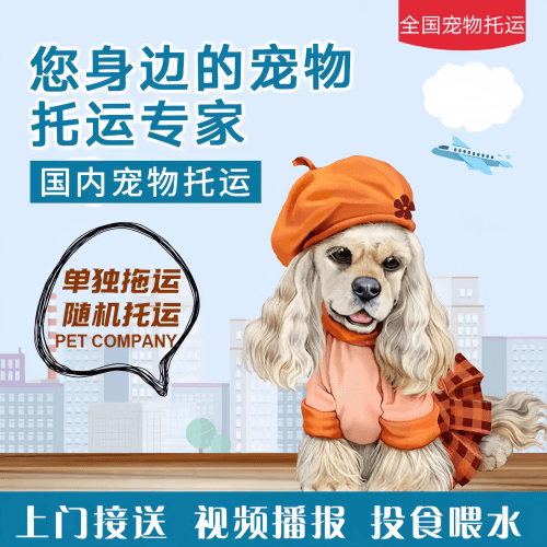 满财南昌宠物全球达宠物托运作为专业的宠物运输代理机构